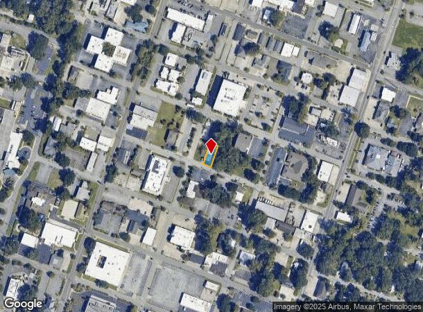 802 E 69Th St, Savannah, GA Parcel Map