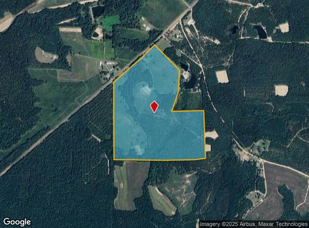  4952 Ga Highway 137 Rd E, Buena Vista, GA Parcel Map