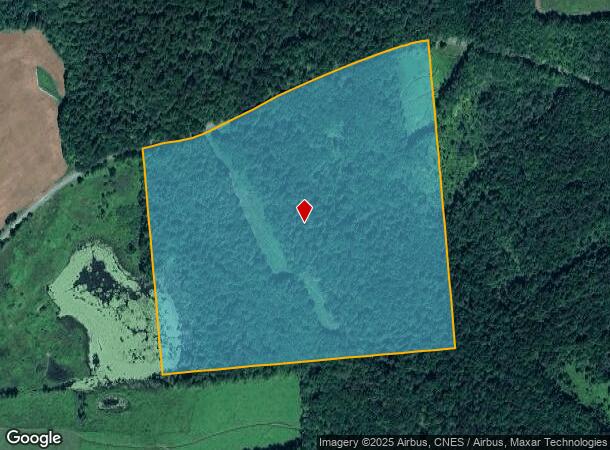 Hunts Pond Rd, New Berlin, NY Parcel Map