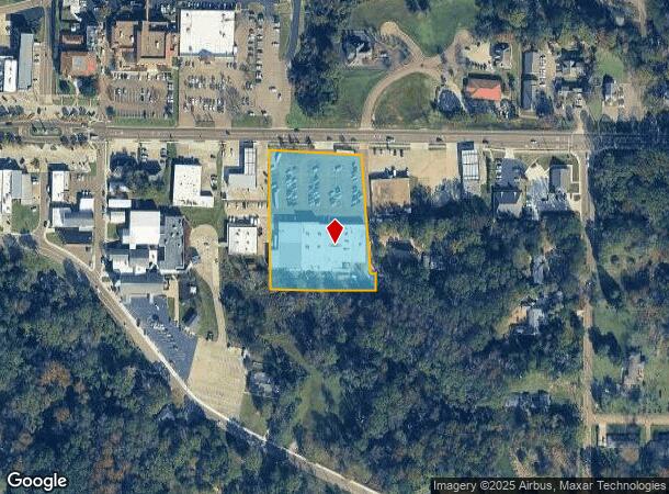  208 E Government St, Brandon, MS Parcel Map