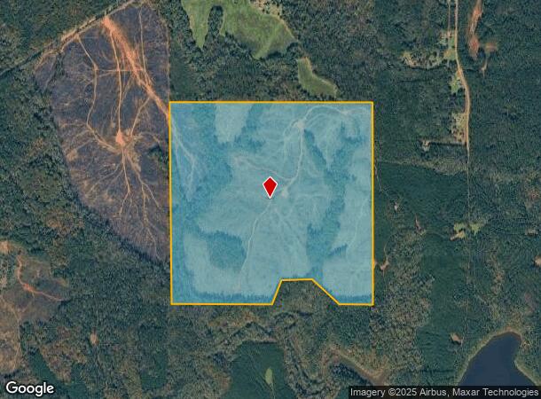  Highway 83 S, Forsyth, GA Parcel Map