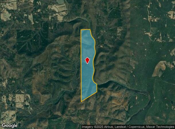 Flint Riv, Manchester, GA Parcel Map