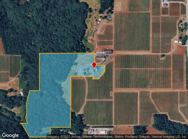 9610 Ne Worden Hill Rd, Dundee, OR Parcel Map