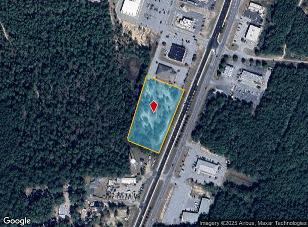 Highway 321, Gaston, SC Parcel Map