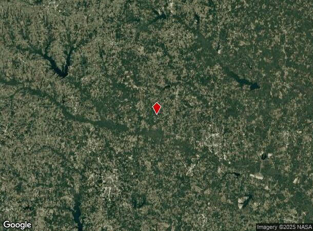  9556 State Highway 155 Ct S, Big Sandy, TX Parcel Map