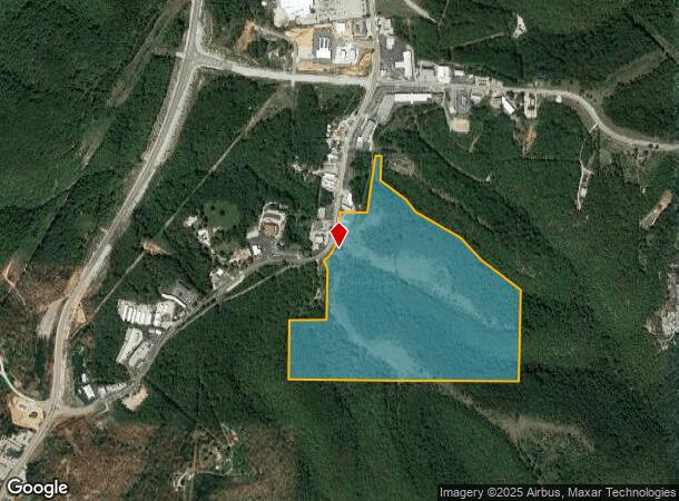 17845 Business 13, Reeds Spring, MO Parcel Map