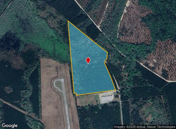  793 Puncheon Creek Dr, Andrews, SC Parcel Map