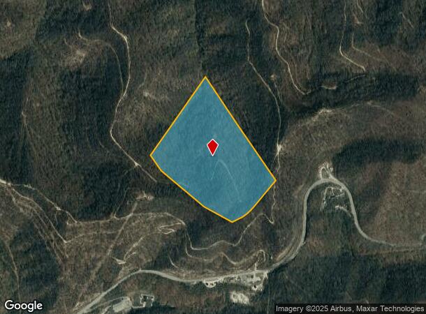  Pigeon Roost, Delbarton, WV Parcel Map