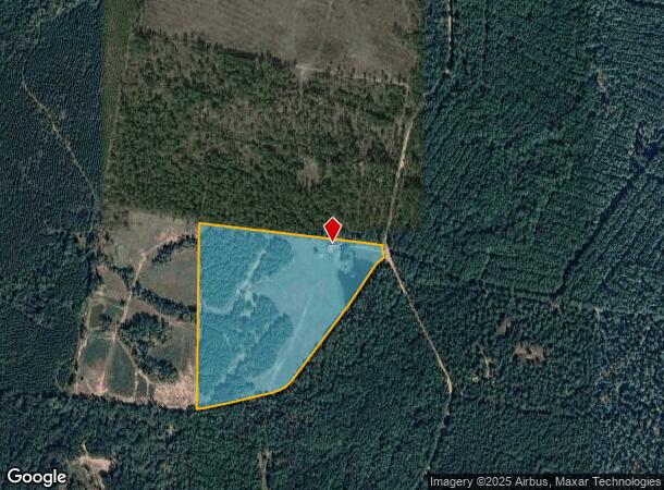 6010 S Caney Rd, Groveton, TX Parcel Map