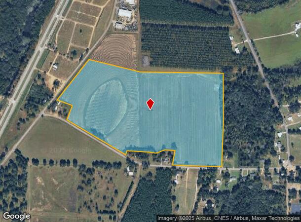 Old Highway 431, Headland, AL Parcel Map