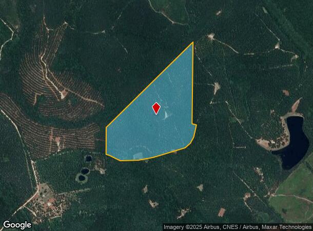  Black Bear Rd, Toomsboro, GA Parcel Map