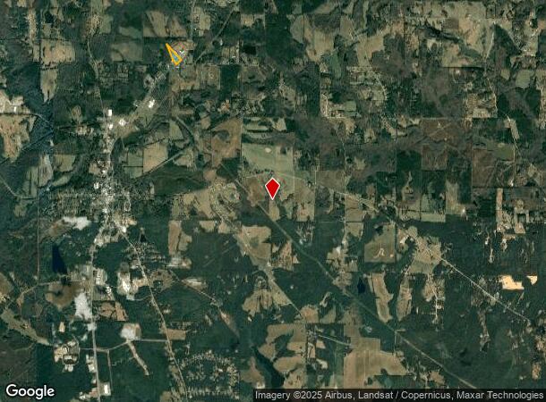  10065 Highway 19 N, Zebulon, GA Parcel Map