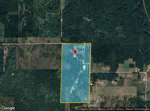 9909 N 39 Rd, Manton, MI Parcel Map