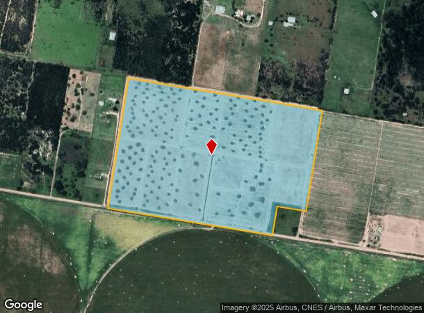 Mile 17 Rd, Edinburg, TX Parcel Map