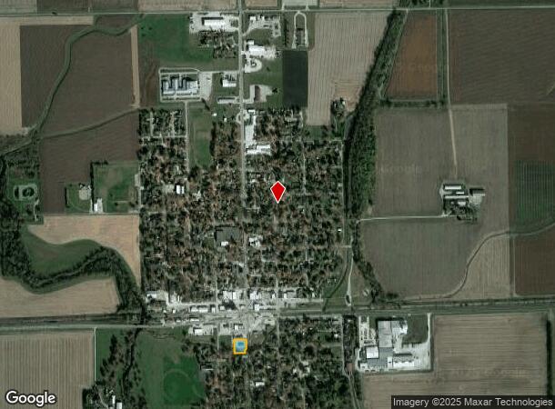  217 S Center St, Forrest, IL Parcel Map