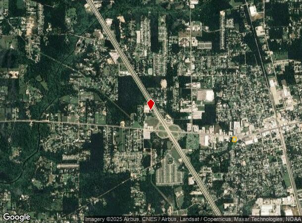  555 W W Pine St, Hammond, LA Parcel Map