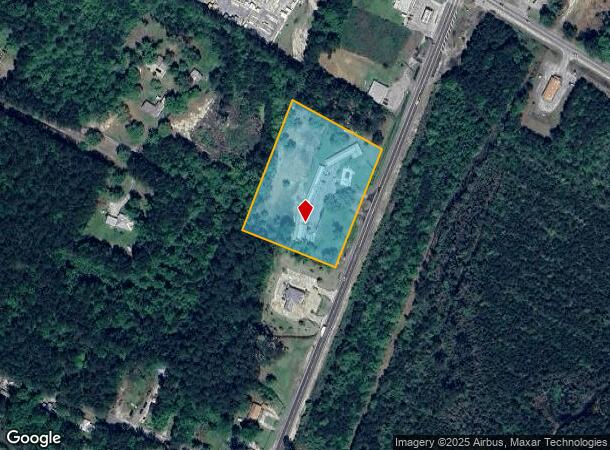  15099 Us Highway 17, Townsend, GA Parcel Map