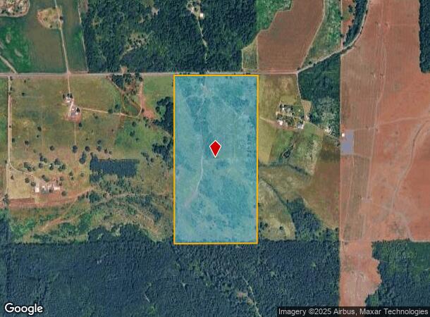 42171 Rodgers Mountain Loop, Scio, OR Parcel Map