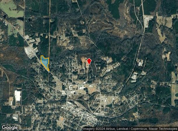  Roosevelt Hwy, Manchester, GA Parcel Map