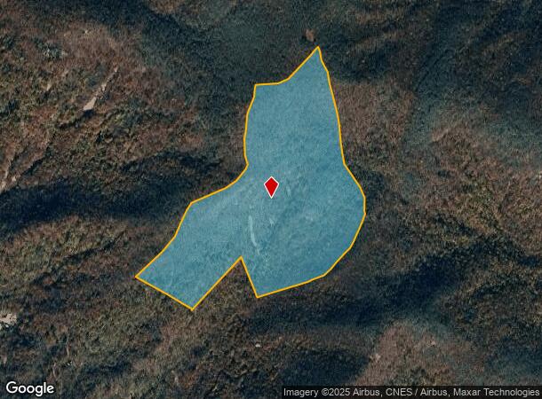  9999 Bee Tree Rd, NC Parcel Map