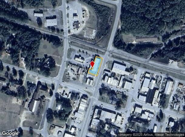 9 N Broad St, Butler, GA Parcel Map
