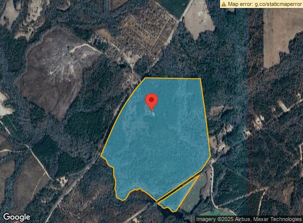  132 Tom Jordan Ln, Mount Croghan, SC Parcel Map