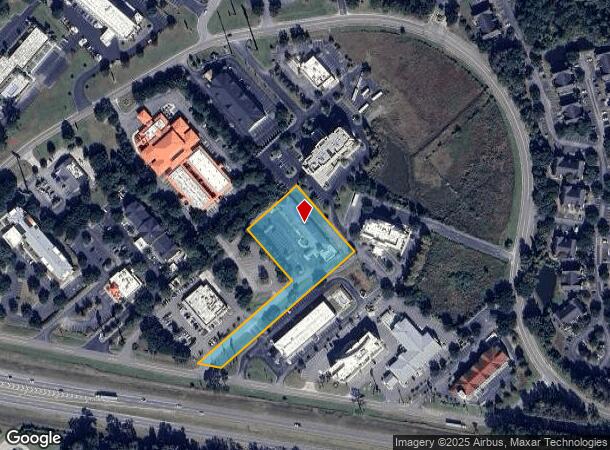  17013 Abercorn St, Savannah, GA Parcel Map