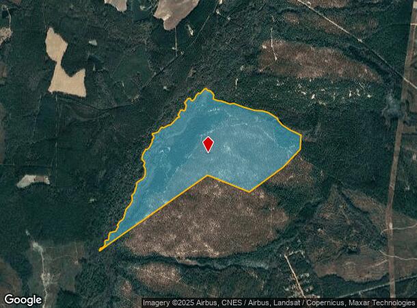  Old Mcleod Bridge Rd, GA Parcel Map