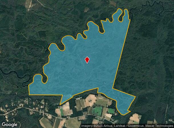  Raybon Rd Access Pt, Nahunta, GA Parcel Map