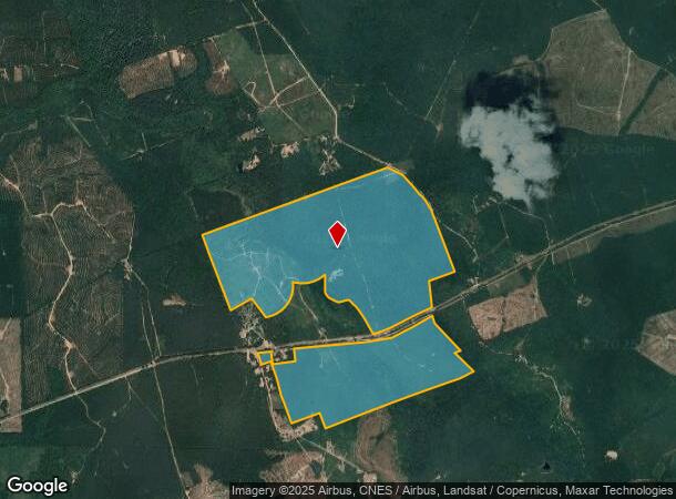 Highway 63W, Wiergate, TX Parcel Map