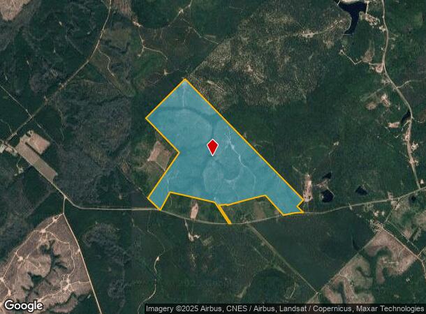  3195 Old Balls Ferry Rd, Toomsboro, GA Parcel Map