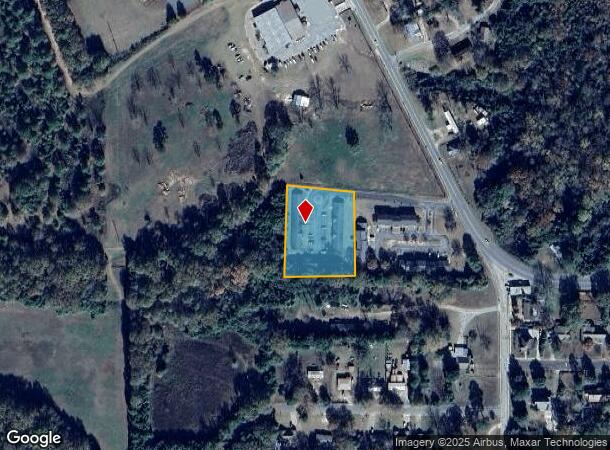 307 Geneva Rd, Buena Vista, GA Parcel Map