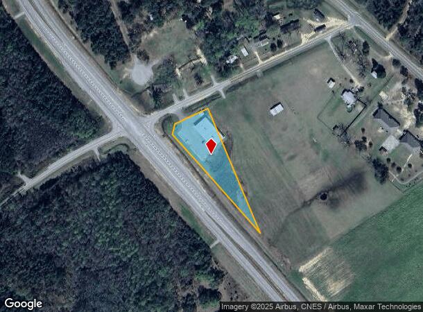  37 Pendleton Springs Rd, Lyons, GA Parcel Map