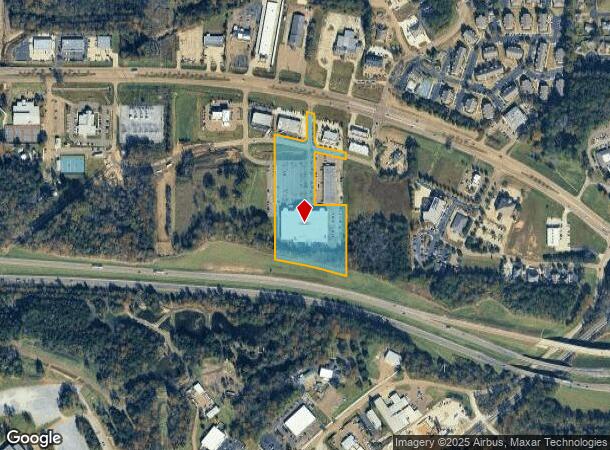 1311 W Government St, Brandon, MS Parcel Map