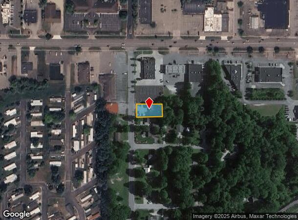 100 Connie Ave, Fremont, MI Parcel Map