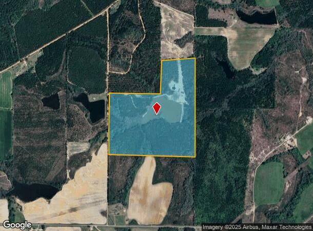  Lee Rd, Abbeville, GA Parcel Map