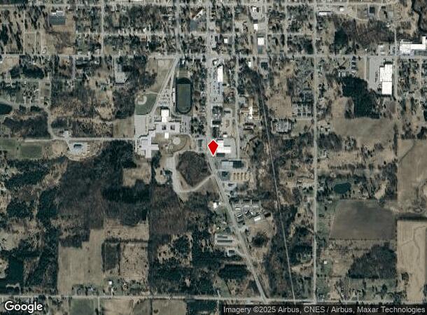  830 S Chestnut St, Reed City, MI Parcel Map