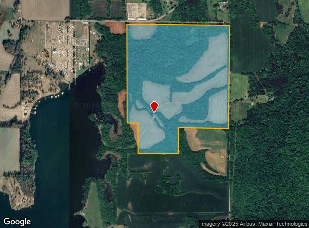  98 County Rd 98, Langston, AL Parcel Map