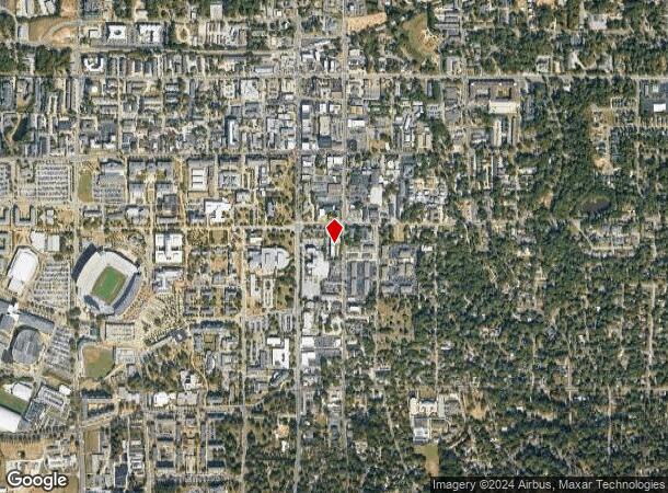  132 E Thach Ave, Auburn, AL Parcel Map