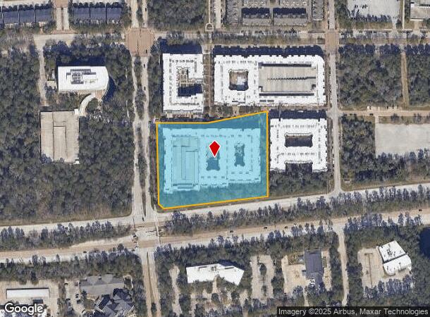  10200 Six Pines Dr, Shenandoah, TX Parcel Map