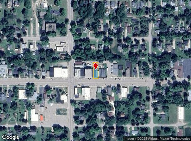  119 E Main St, Elsie, MI Parcel Map