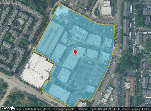  10010 Ne Emma Way, Hillsboro, OR Parcel Map