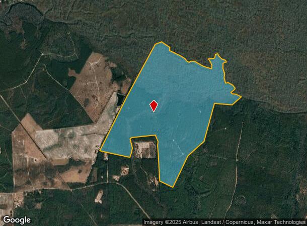 Bennett Rd, Bennett, GA Parcel Map