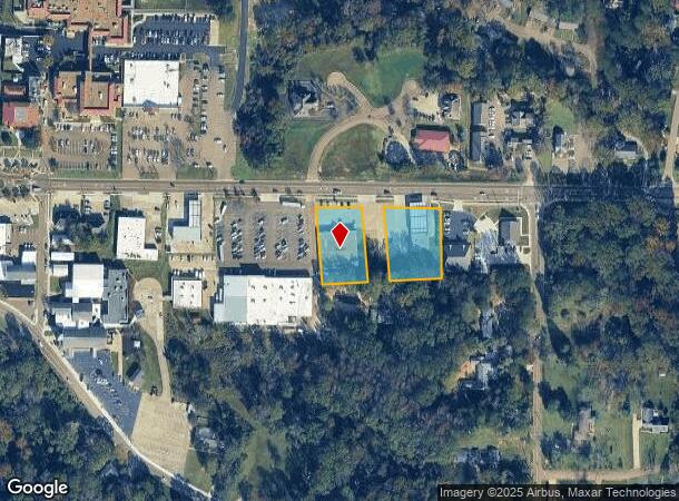 304 E Government St, Brandon, MS Parcel Map