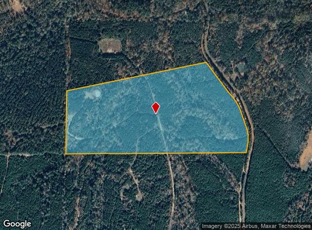 4635 County Road 1685, Grapeland, TX Parcel Map