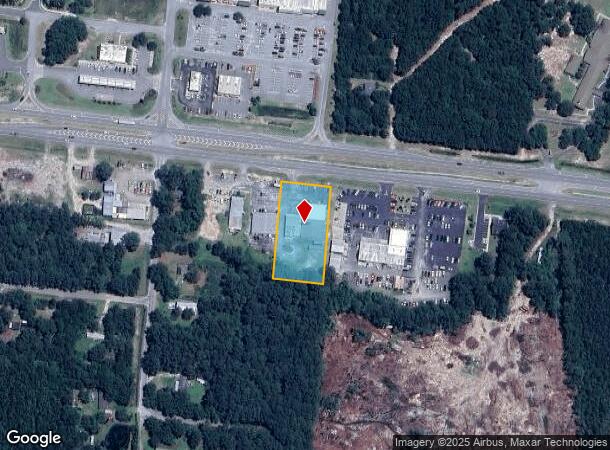  Highway 21, Springfield, GA Parcel Map