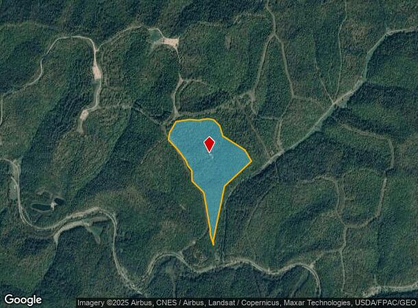 503 Fallen Timber Rd, Smithfield, WV Parcel Map