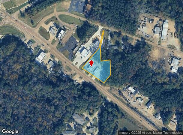  900 W Government St, Brandon, MS Parcel Map