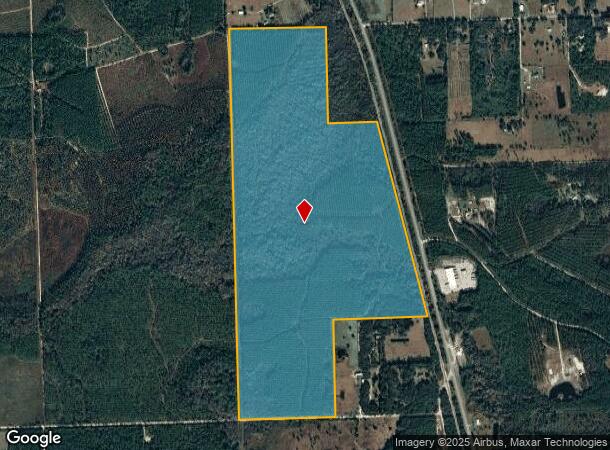 Volusian Frst, Pierson, FL Parcel Map