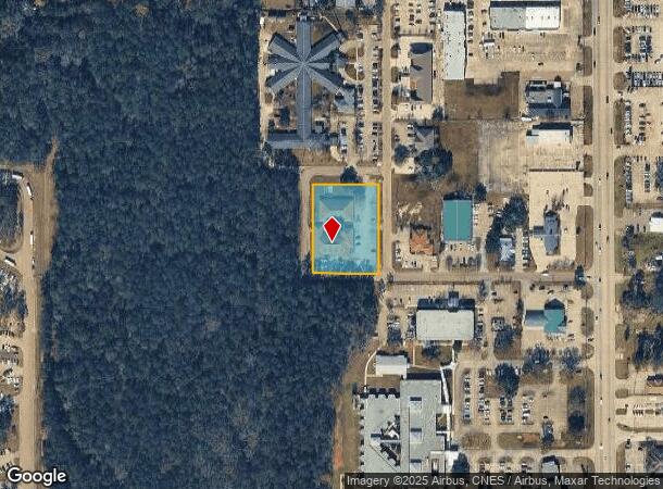 2204 Robin Ave, Hammond, LA Parcel Map